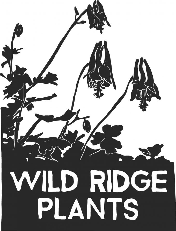 Wild Ridge Plants