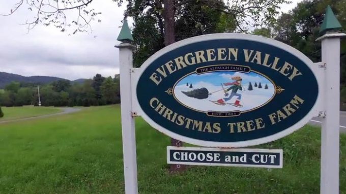 Evergreen Valley Christmas Tree Farm
