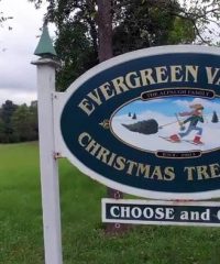 Evergreen Valley Christmas Tree Farm