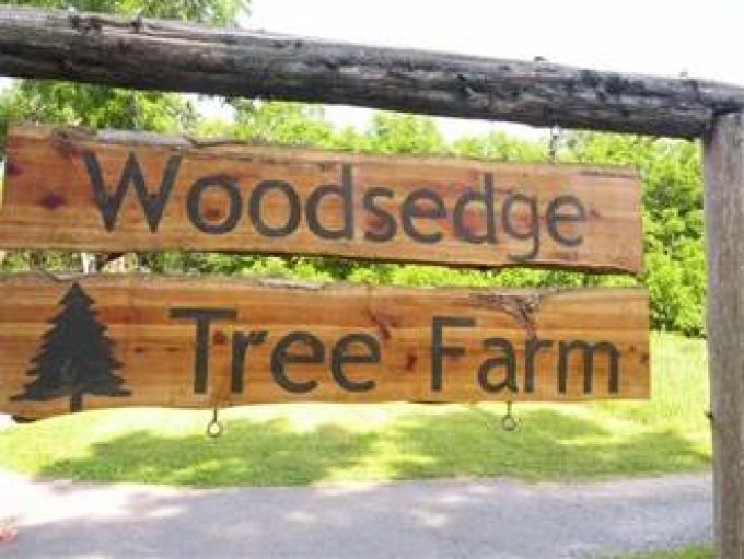 Woodsedge Tree Farm